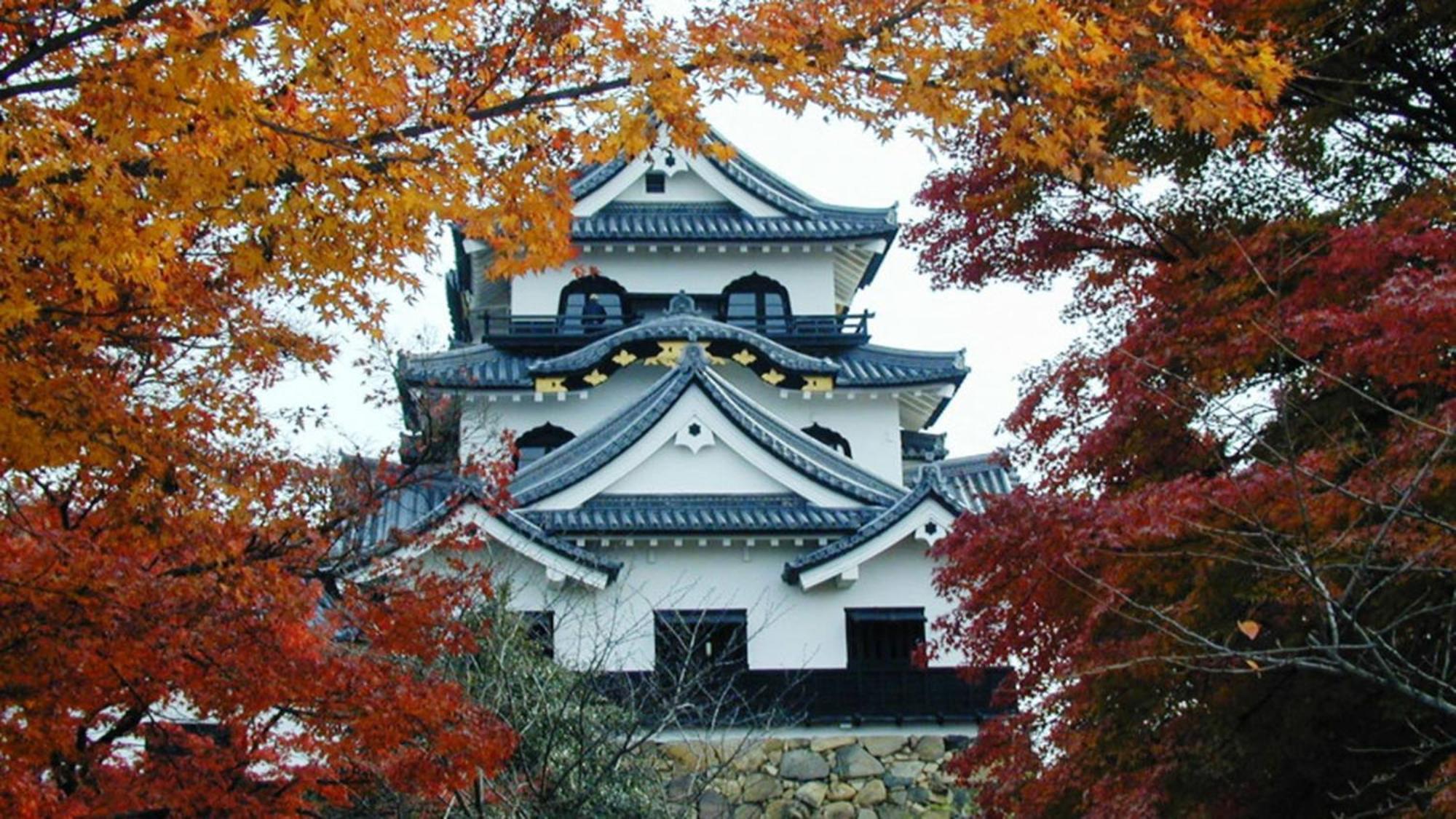 Toyoko Inn Hikone Eki Higashi Guchi Exterior foto